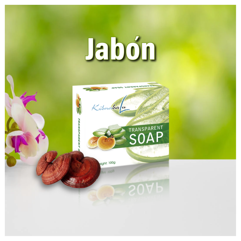 Kibnabalu transparent soap